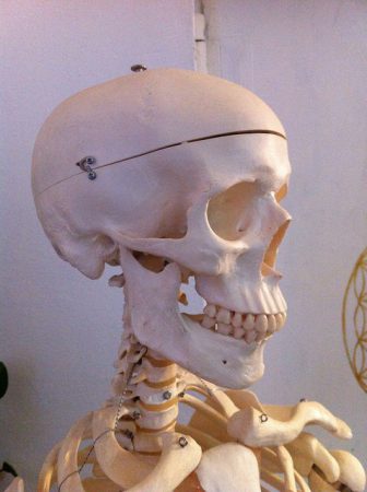 Cranio Sacral Therapy By Storebukkebruse